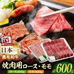 牛肉焼肉用 モモ ロース 600g