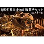 恐竜博物館観覧チケット 大人3名様 恐竜博物館