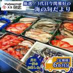 定期便 6ヶ月 鮮魚店 魚忠 厳選鮮魚セット