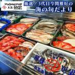 鮮魚店 魚忠 厳選鮮魚セット 大洗 厳選 旬 魚