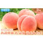 ふるさと納税 桃 白桃 白鳳 2kg 特製 桃源郷錦 もも モモ フルーツ 果物 デザート 配送不可_離島  熊本県錦町