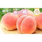 ふるさと納税 桃 白桃 先行予約 錦の桃 2kg 約5玉〜9玉 もも モモ フルーツ 果物 デザート 2026年発送 鎌木果樹園 配送不可:離島  熊本県錦町