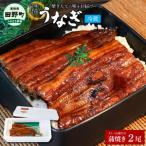 特選うなぎの蒲焼き2尾 特製タレ付き 130g×2尾