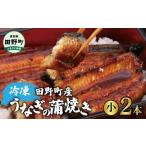 ふるさと納税 うなぎの蒲焼き（小）2本 タレ付き 山椒付き 高知県田野町