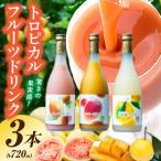 驚きの果実感 トロピカルフルーツドリンク 合計3本