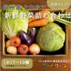 ふるさと納税 直売所店長セレクト季節の野菜セット（小） 大阪府泉佐野市