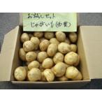 じゃがいも 有機JASじゃがいも 5kg