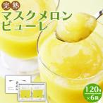 メロンピューレ 120g×6袋