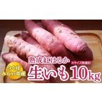 熟成紅はるか生いも 10kg