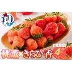 ふるさと納税 a10-587　いちご「桃薫 きらぴ香」食べ比べ セット 計4パック 静岡県焼津市