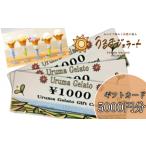 地元のお買物券 うるまジェラート カード 5000円分