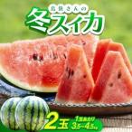 ふるさと納税 【2026年2月〜3月頃の発送】島袋さんの冬スイカ 2玉(1玉あたり3.5〜4.5kg)【配送不可地域：離島】【1577666】 沖縄県国頭村