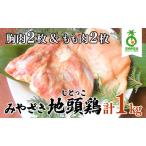 のびのびと育てたみやざき地頭鶏の生肉セット 合計1kg