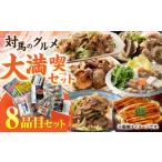 対馬 大満喫セット 8品目 村元とんちゃん