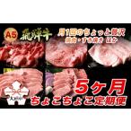 ショッピング牛 ふるさと納税 A5飛騨牛　定期便　5カ月ちょこちょこお届け（焼肉・すき焼き　ほか）☆ 岐阜県大垣市