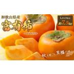 ふるさと納税 【訳あり・ご家庭用】和歌山県産 富有柿約7.5kg【2025年11月上旬から11月下旬頃順次発送】【S96006-mtgn050】 和歌山県かつらぎ町