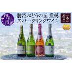 ふるさと納税 勝沼ぶどうの丘推奨スパークリングワイン4本セット(KBO)D-620【ワイン スパークリングワイン 甲州市 山梨県】 山梨県甲州市