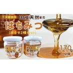 蜂蜜 はちみつ 大津養蜂園の天然はちみつ 詰合せ2種セット