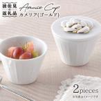 カメリア アミューズカップ L 2個セット