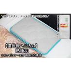 fu.... налог [ бинчотан соты ].. подушка двусторонний вмятина выпуклость структура шелк pillow с футляром FY20-750 Yamagata префектура Yamagata город 