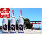 C3-25124 大海酒造 海 1800ml×3本セット