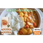 農家の野菜カレー 30個