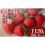 ふるさと納税 いちご【3〜5月発送】恋みのり 紅ほっぺ かおり野 4パック×280g 完熟いちご 静岡県南伊豆町