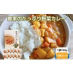 農家の野菜カレー 10個