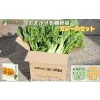 チルド 山口農園 有機野菜 おまかせセット