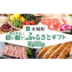 ふるさと納税 ＜あとからセレクト【ふるさとギフト】１万円＞ K99-001 宮崎県木城町