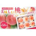 ふるさと納税 桃 もも 和歌山県産の美味しい 桃 約3.6kg(11〜15玉入り)【2025年6月中旬頃から8月上旬頃順次発送予定】【先行予約】/ 桃 もも.. 和歌山県北山村