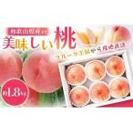 ふるさと納税 桃 もも 和歌山県産の美味しい 桃 約1.8kg(5〜8玉入り)【2025年6月中旬頃から8月上旬頃発送予定】【先行予約】/ 桃 もも モモ .. 和歌山県北山村