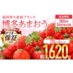 JAグループ あまおういちご 1620g