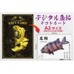 CM-015 メモリアルフィッシュを釣れたてのままに