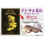 CM-025 メモリアルフィッシュを釣れたてのままに