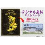 CM-026 メモリアルフィッシュを釣れたてのままに