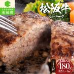 松阪牛焼ハンバーグ デミグラスソース付 4個入り