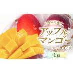 ショッピングふるさと納税 マンゴー ふるさと納税 【先行予約 2026年発送】完熟マンゴー 1個 約400g | アップルマンゴー 高知県南国市