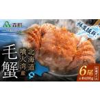 噴火湾産 冷凍ボイル毛ガニ 400g前後×6尾
