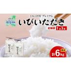ハツシモ 米 いびいただき 精米 JAいび川