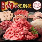 丸福 肉の定期便 12回 牛肉 定期便