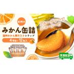 紀州のみかん缶詰 みかん果汁入りシラップ