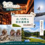 内宿泊補助券 2枚
