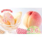 ふるさと納税 【先行予約】和歌山県産の美味しい桃 (11〜15玉入り)【2025年6月中旬頃から8月上旬頃順次発送予定】 和歌山 もも モモ 桃 ギフ.. 和歌山県太地町