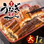 うなぎ うなぎ蒲焼き 約170g×1尾