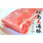 B2-3072 桜島美湯豚 ヒレ肉×3本