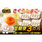 ふるさと納税 特選　さくらたまご【定期便　3カ月】☆40個（10個入×4パック）を月1回お届け☆☆ 岐阜県大垣市