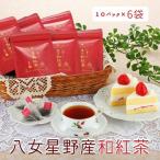 八女星野産和紅茶10P入×15袋