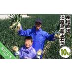fu.... налог Awaji Island производство шар лук порей 10kg * рассылка . мир 8 год 5 месяц средний .~ Hyogo префектура юг ... город 