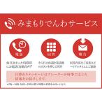 みまもりでんわサービス 3か月